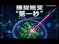 亲眼目睹癌症爆发的“第一秒”,EMBL发布MAGIC平台,实现活细胞染色体异常实时解码