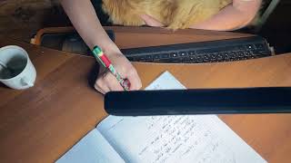 Work With Me | Real Work Session with My Ginger Cat | Keyboard & Mouse Sounds | No Talking screenshot 4