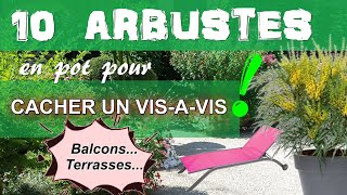 10 arbustes persistants à cultiver en pot, pour cacher un vis-à-vis sur une terrasse ou un balcon !