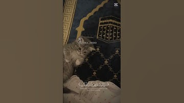 سورة إلانسان#القارئ_محمد_اللحيدان#