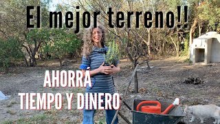 El mejor terreno para vos. Diseñá tu espacio y un bosque comestible. #permacultura #TRASLASIERRA