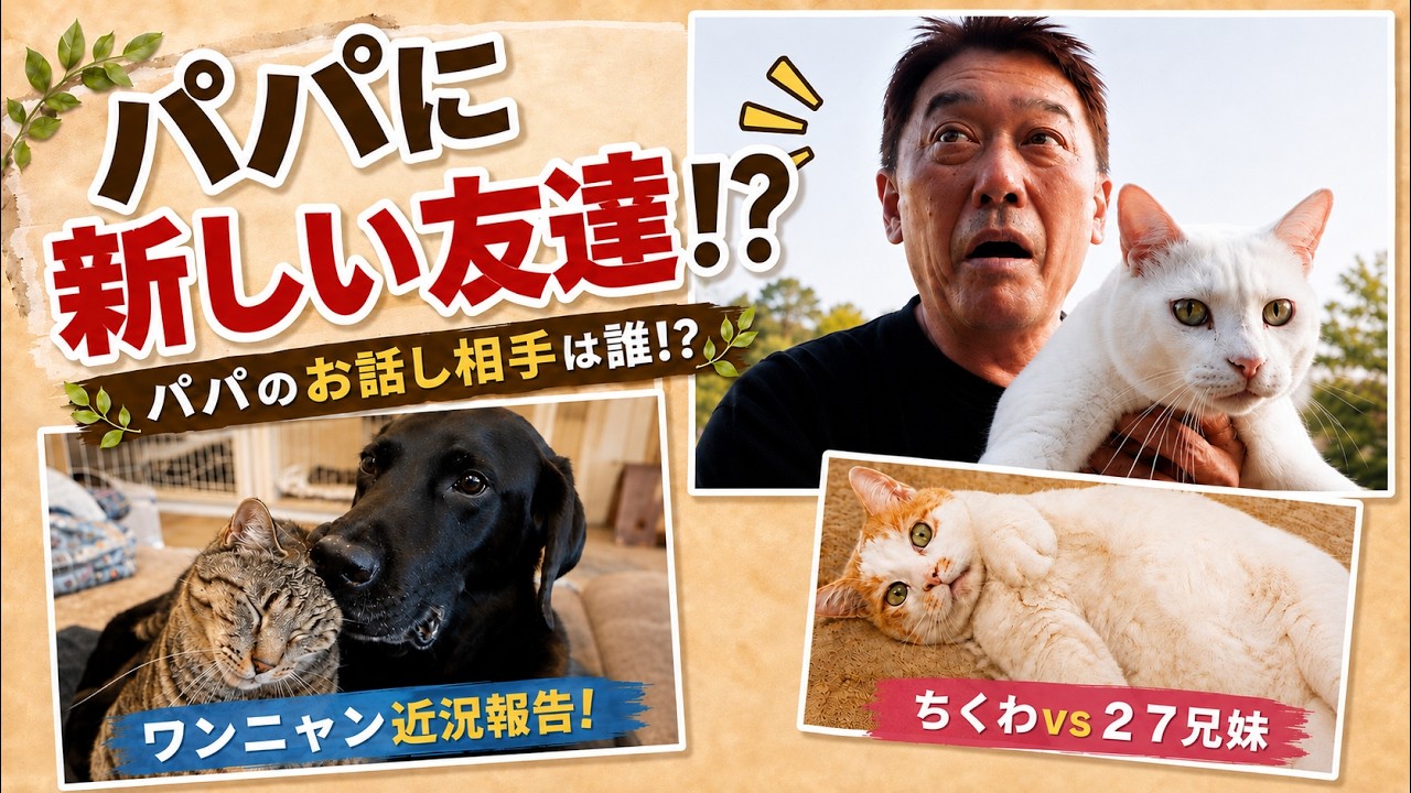 【坂上パパに新しい友達！？】坂上家ワンニャン最新映像〜アキの近況について〜