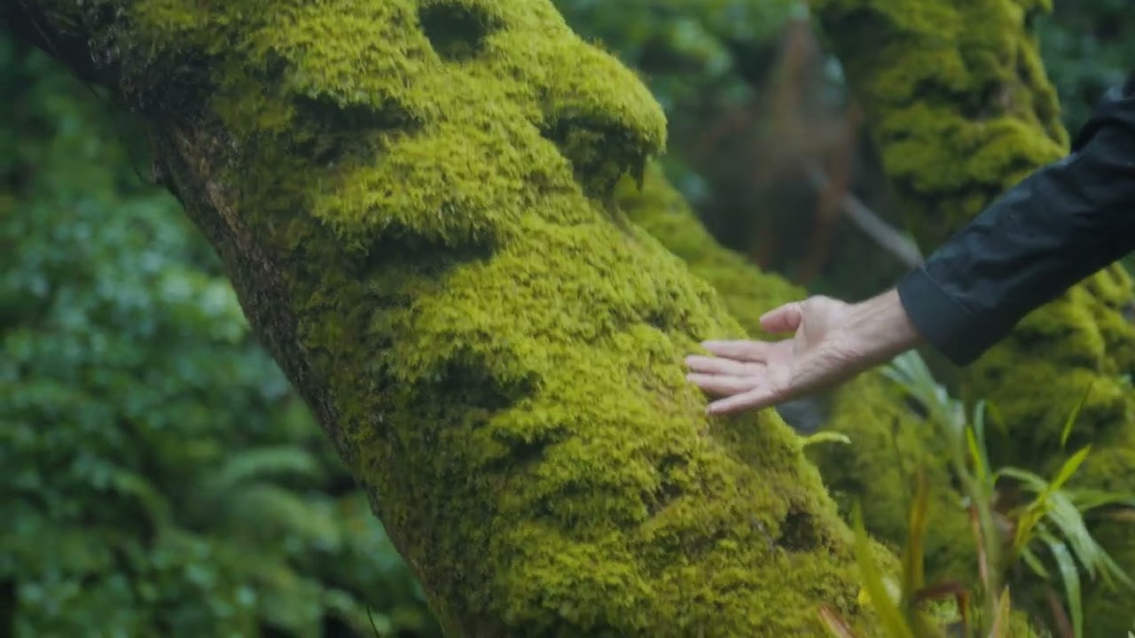 This is our Biosphere