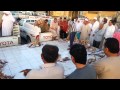 حراج الاسماك ب  املج نجومي