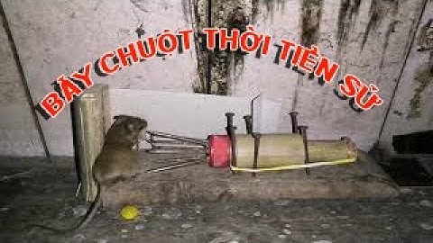 BẪY CHUỘT THÔNG MINH | DÙNG ĐINH DÂY THUN ÔNG TRE