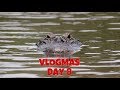 Alligator Feeding & Fun! VLOGMAS Day 8