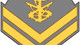 Comparative navy enlisted ranks of the Americas | Wikipedia audio article