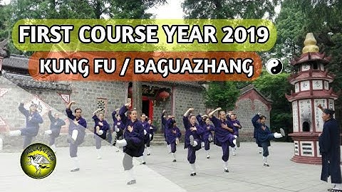 BAGUAZHANG First Class year [2019] "Five Dragons Heavenly Dipper"