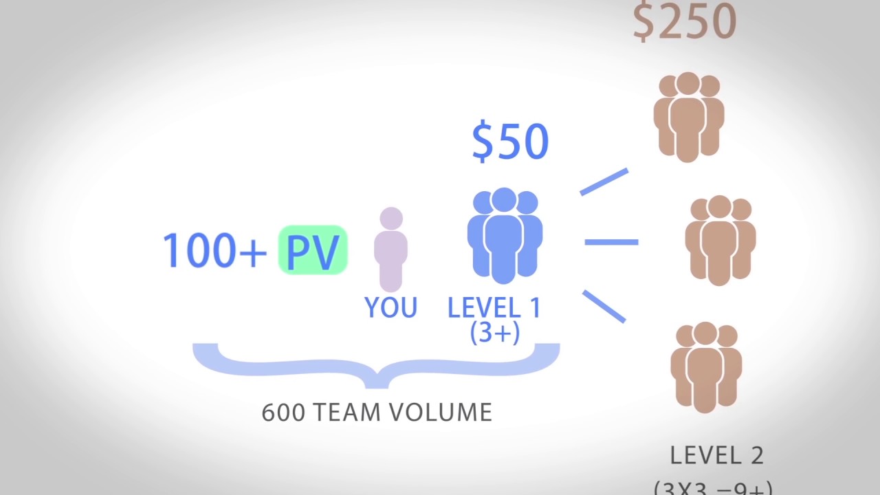 doTERRA Compensation Plan - YouTube
