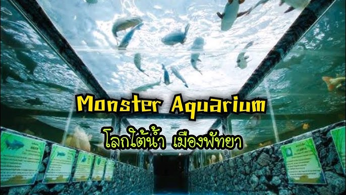 Sea Aquarium Singapore | อควาเรียมสิงคโปร์ มีอะไรให้ดูบ้าง? เที่ยวสิงคโปร์  S.E.A. Aquarium รีวิว - Youtube