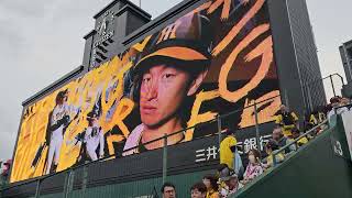 2024年プロ野球⚾公式戦　阪神タイガース🐯🆚広島東洋カープ🎏　スタメン・監督・審判の発表