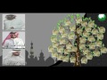 شيلة الأنصار شيلة الأنصار