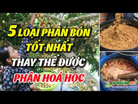 Video: 5 Thành Phần Bổ Sung Chung Cho Vật Nuôi Cao Cấp