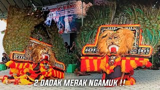 Ngeri ‼️ Solah Ndadi Pembarong Reog Ponorogo Ngamuk Sampai Cokotan Patah