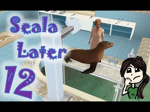 Frazzled From Fur Seals |Scenario 12 Pet Vet 3D Animal Hospital Down Under (PC)