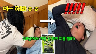 세상에서 가장 신 오이피클 젤리 먹여서 잠 깨우기ㅋㅋㅋ