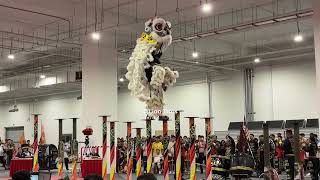 [4K] 🇸🇬 Kuo Chuan 国专 @ 2026 Antica Cup 新马高桩争霸赛 Acrobatic Lion Dance Comp 22 Aug 2026