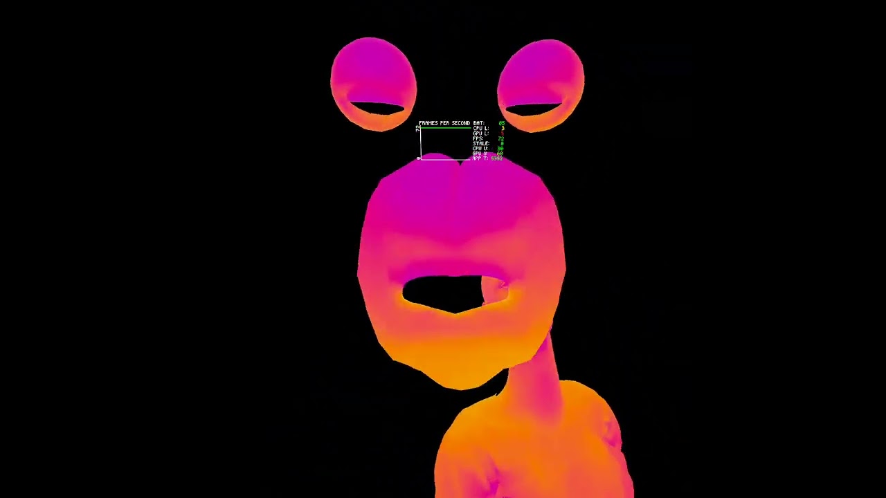 Meta Movement SDK Body Tracking Retargeting Mirrored Character