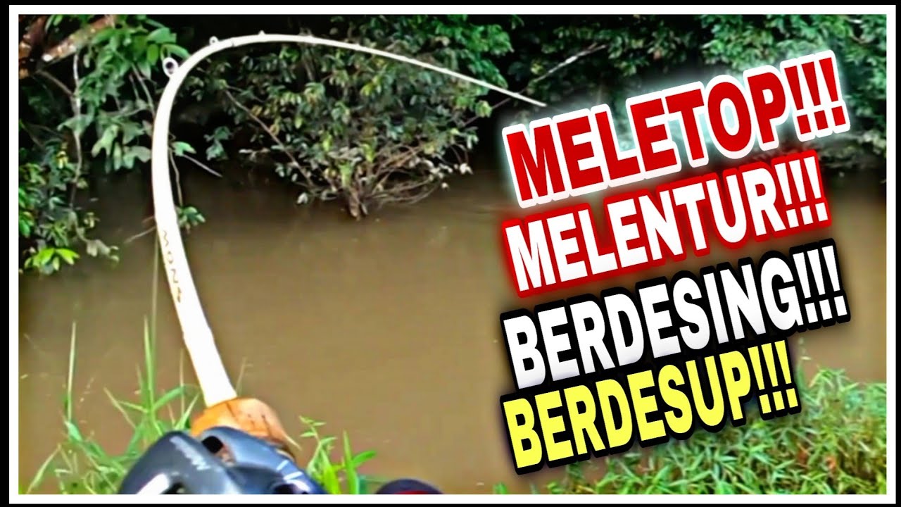 CASTING SEBARAU SPOT SUNGAI TERBIAR. Shimano Metanium