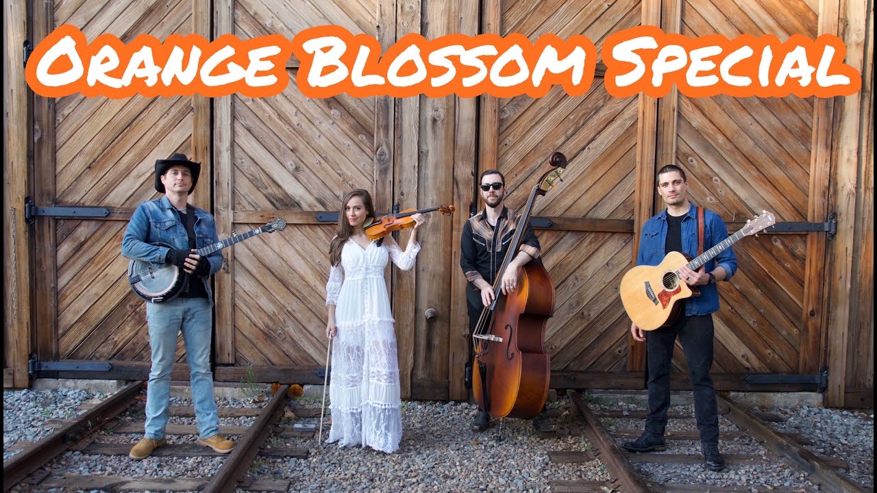 orange blossom band tour