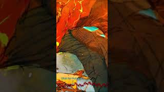 [Nightcore] The Fiddler On The Deck (Santiano) Version 4 #short #shorts #youtubeshorts