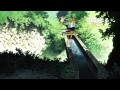 映画 虹色ほたる 永遠の夏休み 予告編映像 