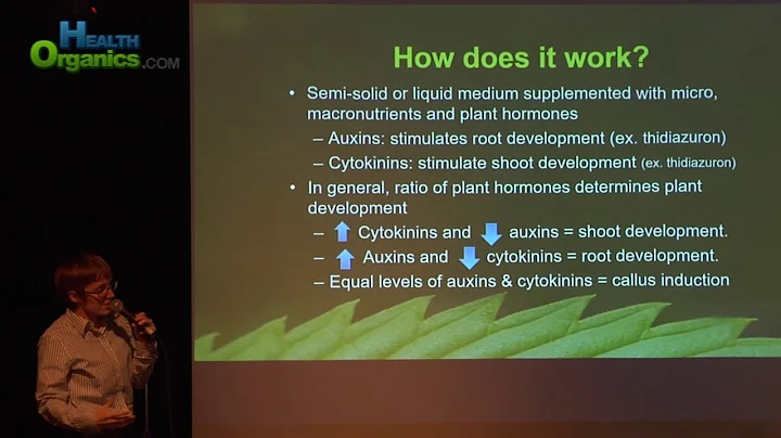 Michelle Wiseman Tissue Culture Cannabis Science P...