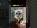 Pistol round ACE with Chamber 😮‍🔥