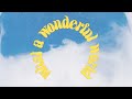 John Oates - What A Wonderful World (Official Lyric Video)
