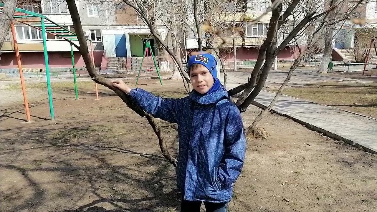 Травка зеленеет солнышко блестит видео мальчик. Травка зеленеет принцесса.