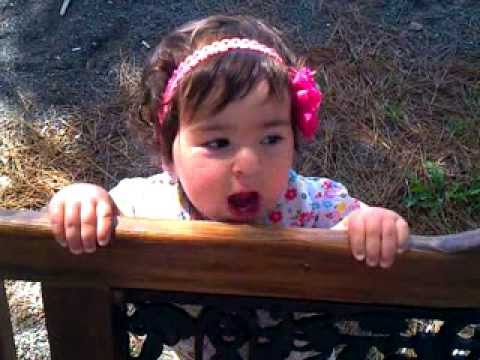 ყოვლისმცოდნე ელენიკო