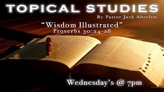 Proverbs 30:24-28 - Wisdom Illustrated