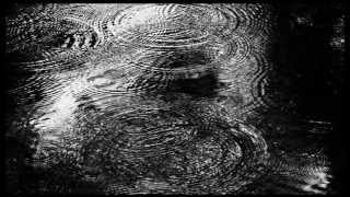 IN THE NURSERY - Sense