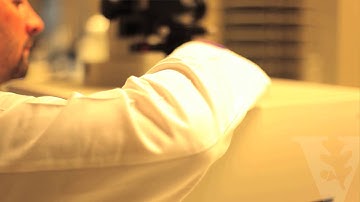 VICB High-Throughput Screening Core Video