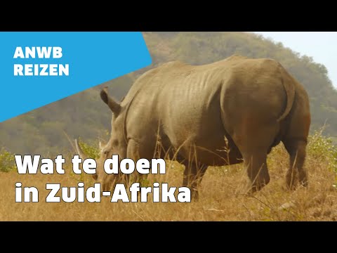 Video: Wat is de grootste kerk in Zuid-Afrika?