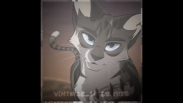 edit for @twixxy_wcue || #warriorcats #hawkfrost #edit #dontflop