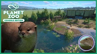 Asian SmallClawed Otter Habitat | Silver Valley Zoo Ep. 6 | Planet Zoo Console Edition