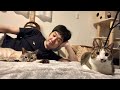 ニャン友レコード最終回