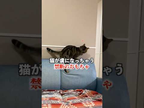 自動のレーザーが神すぎた！！