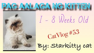 PAANO MAG ALAGA NG KITTEN | HOW TO TAKE CARE A KITTEN | CatVlog #53 #kitten