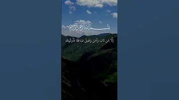 فخلف من بعدهم خلف أضاعوا الصلاة واتبعوا الشهوات فسوف يلقون غيا فارس عباد حالات قرآن 