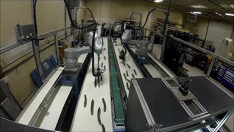 Robotic Cucumber Vision Inspect Sort and Load   3 Packs