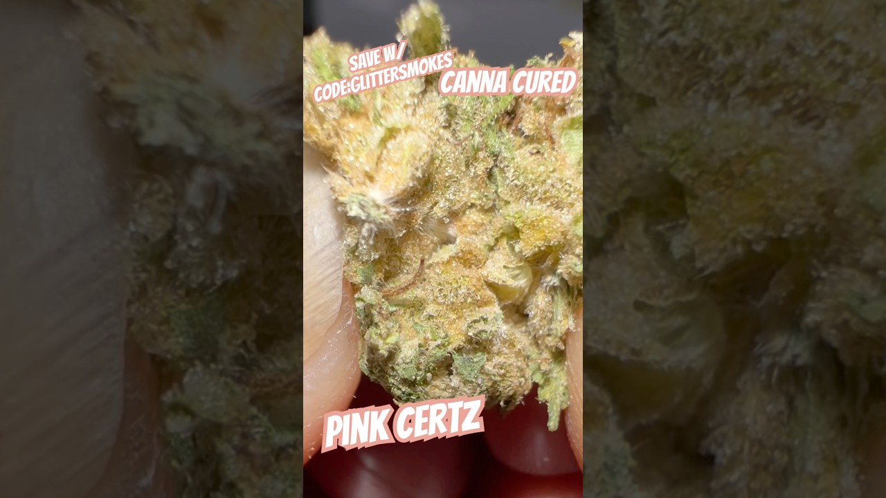Pink Certz from Canna Cured 
