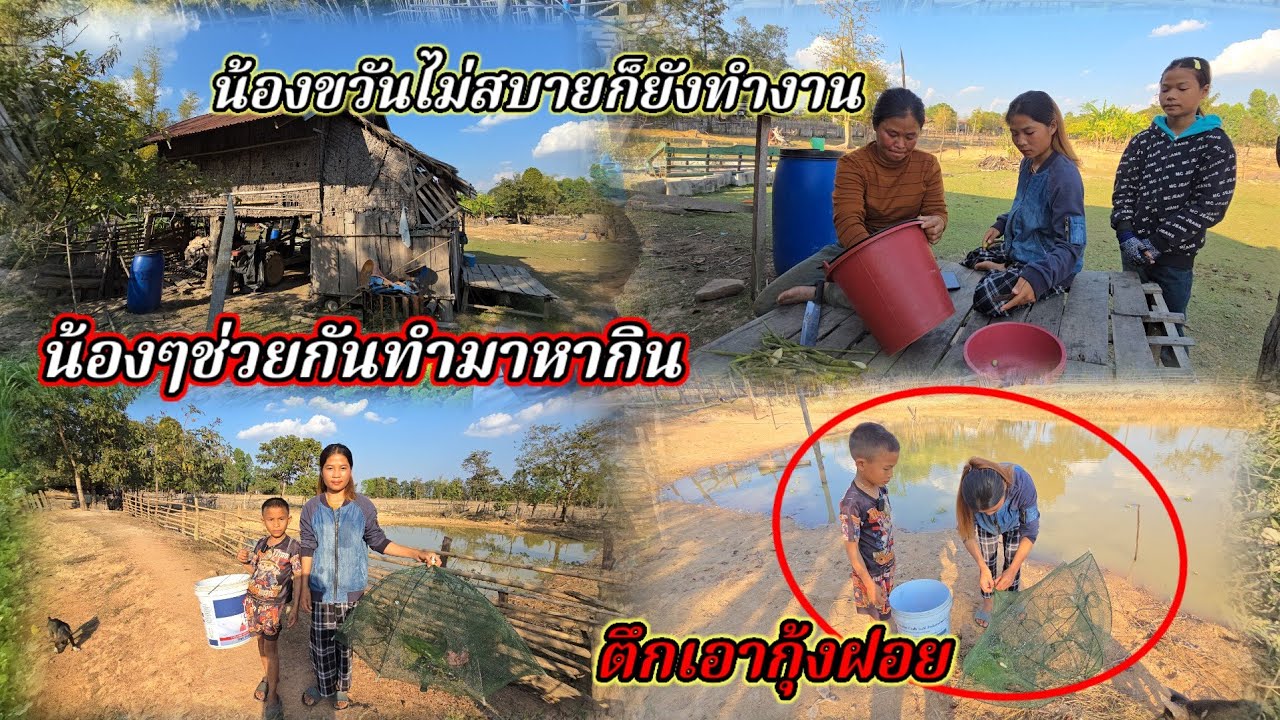 น้องขวัญช่วยกันทำมาหากิน เลี้ยงครอบครัว17 มกราคม ค.ศ. 2026