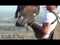 Golden Eagle Training, 5th Week Practicing