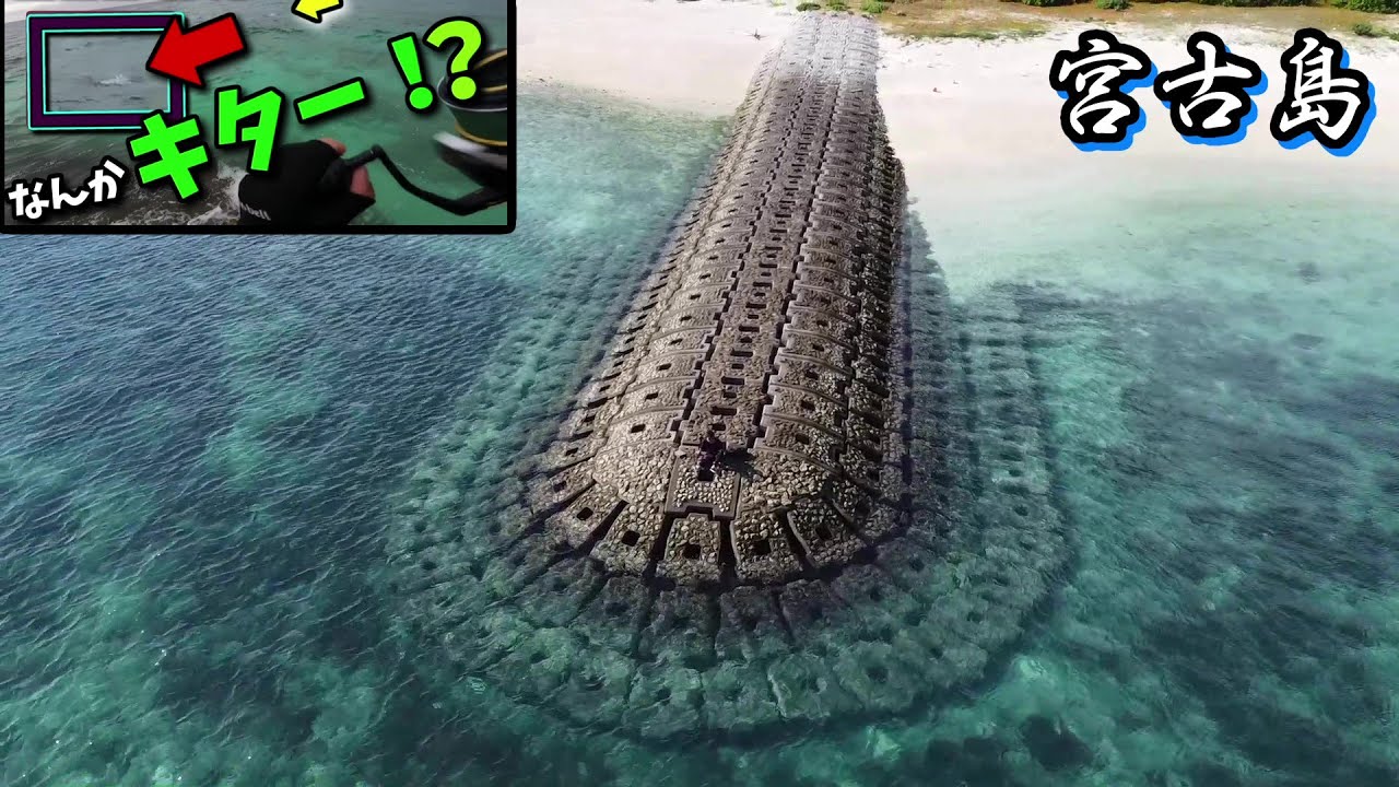 宮古島 冬でもルアーで釣れるだろう Youtube