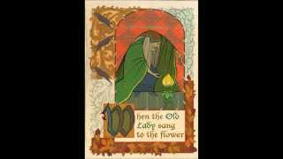 Tangled: Healing Incantation Cover: Rachiedian