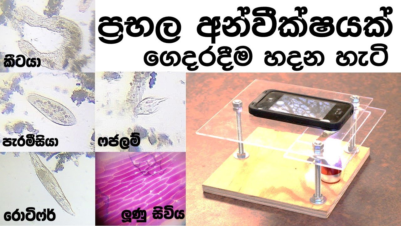 ගෙදරදීම ප්‍රභල අන්වීක්ෂයක් හදන හැටි (ශුද්‍ර සතුන් බොහොමයක් බලන්න පුළුවන්)