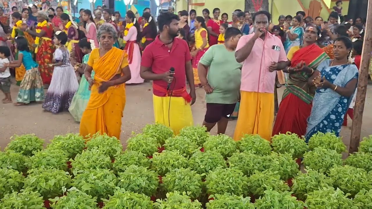 முளைப்பாரி கும்மி ஆட்டம் | தெற்கு இலந்தைகுளம் மாரியம்மன் கோயில் #petchi074  