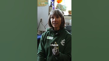 Sorting and Separating Batteries for Recycling #sustainability #recycle #recycling